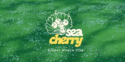 Somefun Font Poster 4