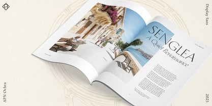 APN Ochra Font Poster 6