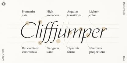 APN Ochra Font Poster 9