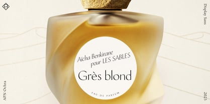 APN Ochra Font Poster 3