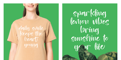 Heights Asterick Font Poster 12