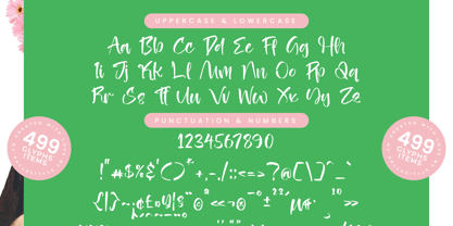 Heights Asterick Font Poster 13