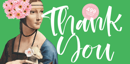 Heights Asterick Font Poster 15