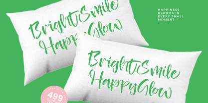 Heights Asterick Font Poster 3