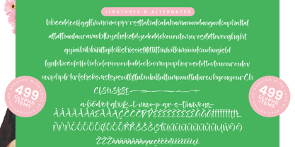 Heights Asterick Font Poster 14