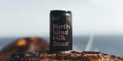 Noeler Font Poster 5