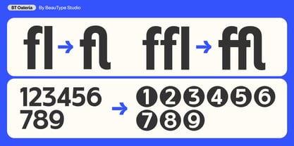 BT Oateria Font Poster 8
