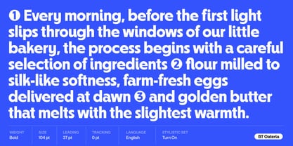BT Oateria Font Poster 5