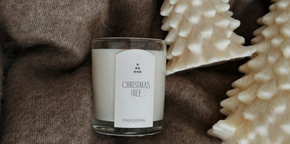 Cadence Demi Serif Font Poster 6