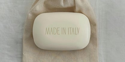 Cadence Demi Serif Font Poster 9