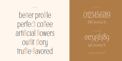 Cadence Demi Serif Font Poster 12