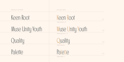 Cadence Demi Serif Font Poster 13