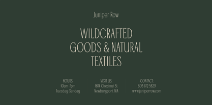 Cadence Demi Serif Font Poster 11