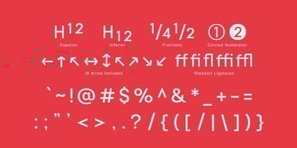 Kota Sans Font Poster 10