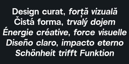 Kota Sans Font Poster 13