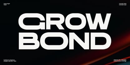GC Epic Pro Font Poster 4