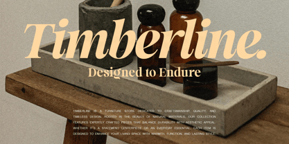 SLTF La Mystere Font Poster 10