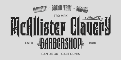 Silvershine Font Poster 5