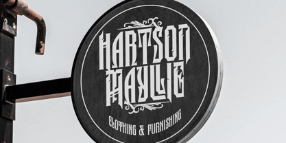 Silvershine Font Poster 7