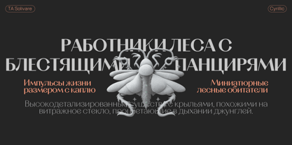 TA Solivare Variable Font Poster 4
