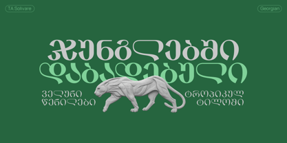 TA Solivare Variable Font Poster 6