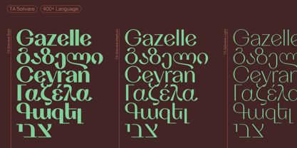 TA Solivare Variable Font Poster 2
