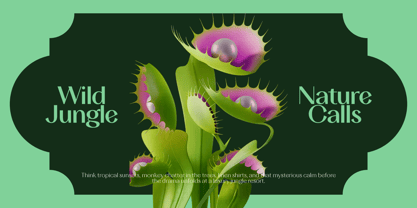 TA Solivare Variable Font Poster 3