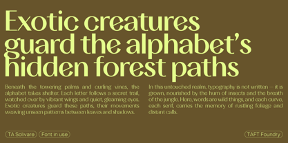 TA Solivare Variable Font Poster 11