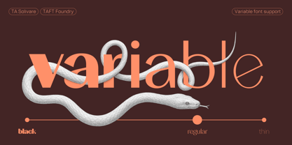 TA Solivare Variable Font Poster 12