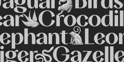 TA Solivare Variable Font Poster 13