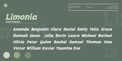 Citrion Font Poster 6