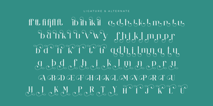 Mailing Signal Font Poster 10