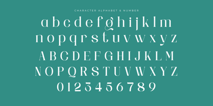 Mailing Signal Font Poster 9