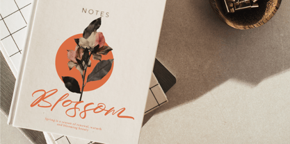 Cocktail Bigoter Font Poster 4