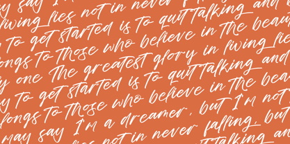 Cocktail Bigoter Font Poster 9