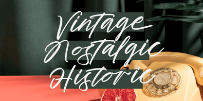 Cocktail Bigoter Font Poster 13