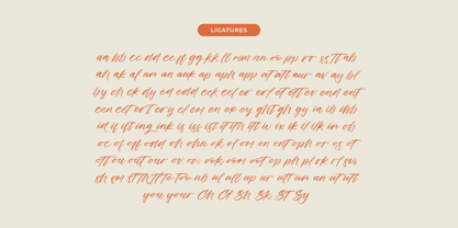 Cocktail Bigoter Font Poster 12