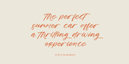 Cocktail Bigoter Font Poster 2