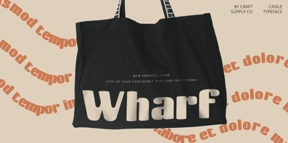 Casile Font Poster 3