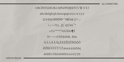 Catelyn Rough Font Poster 6