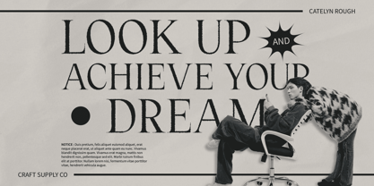 Catelyn Rough Font Poster 4