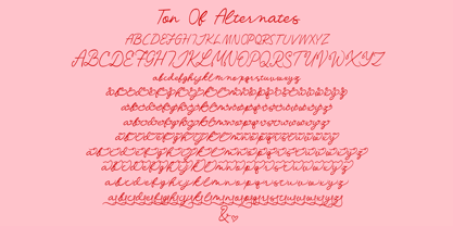 Sparkle Cheers Font Poster 11