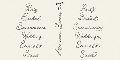 Sparkle Cheers Font Poster 8