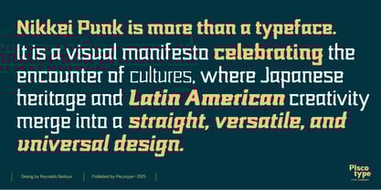 Nikkei Punk Font Poster 9