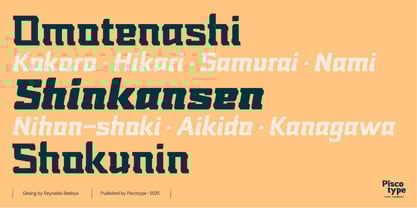 Nikkei Punk Font Poster 11