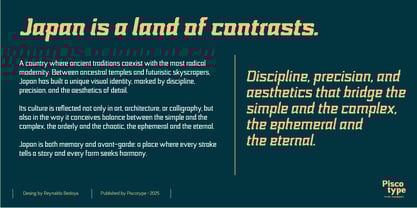 Nikkei Punk Font Poster 7