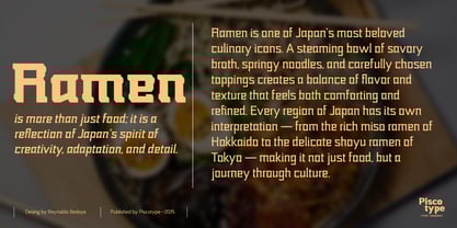 Nikkei Punk Font Poster 13