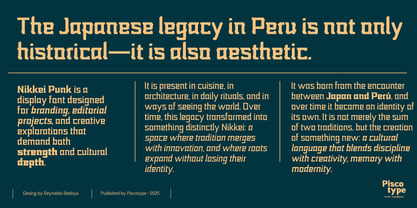 Nikkei Punk Font Poster 15