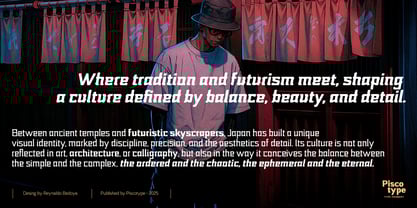 Nikkei Punk Font Poster 6