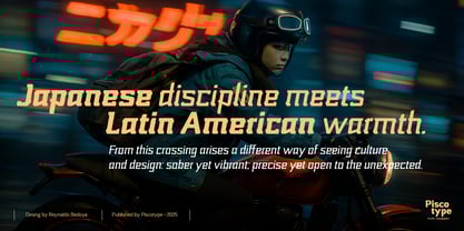 Nikkei Punk Font Poster 12